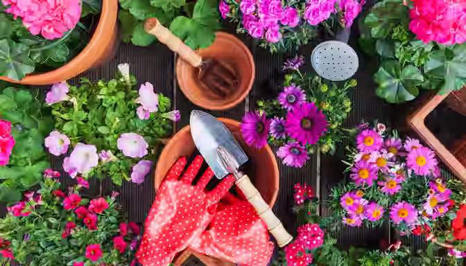 Mein Sch Ner Garten Shop Cashback Angebote